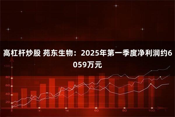 高杠杆炒股 苑东生物：2025年第一季度净利润约6059万元
