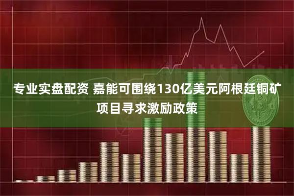 专业实盘配资 嘉能可围绕130亿美元阿根廷铜矿项目寻求激励政策